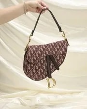 2019 Christian Dior With Adjustable Strap 2