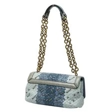 Bottega Veneta Ayers Olympia Chain la 2