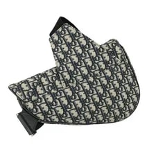 Dior Crossbody Saddle W11in 2