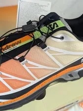 🦀 Salomon XT-6 Andrew Miami Florida Crab 4