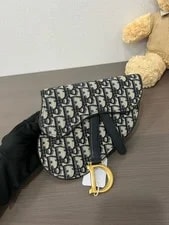 Dior Saddle Waist Chest for 2