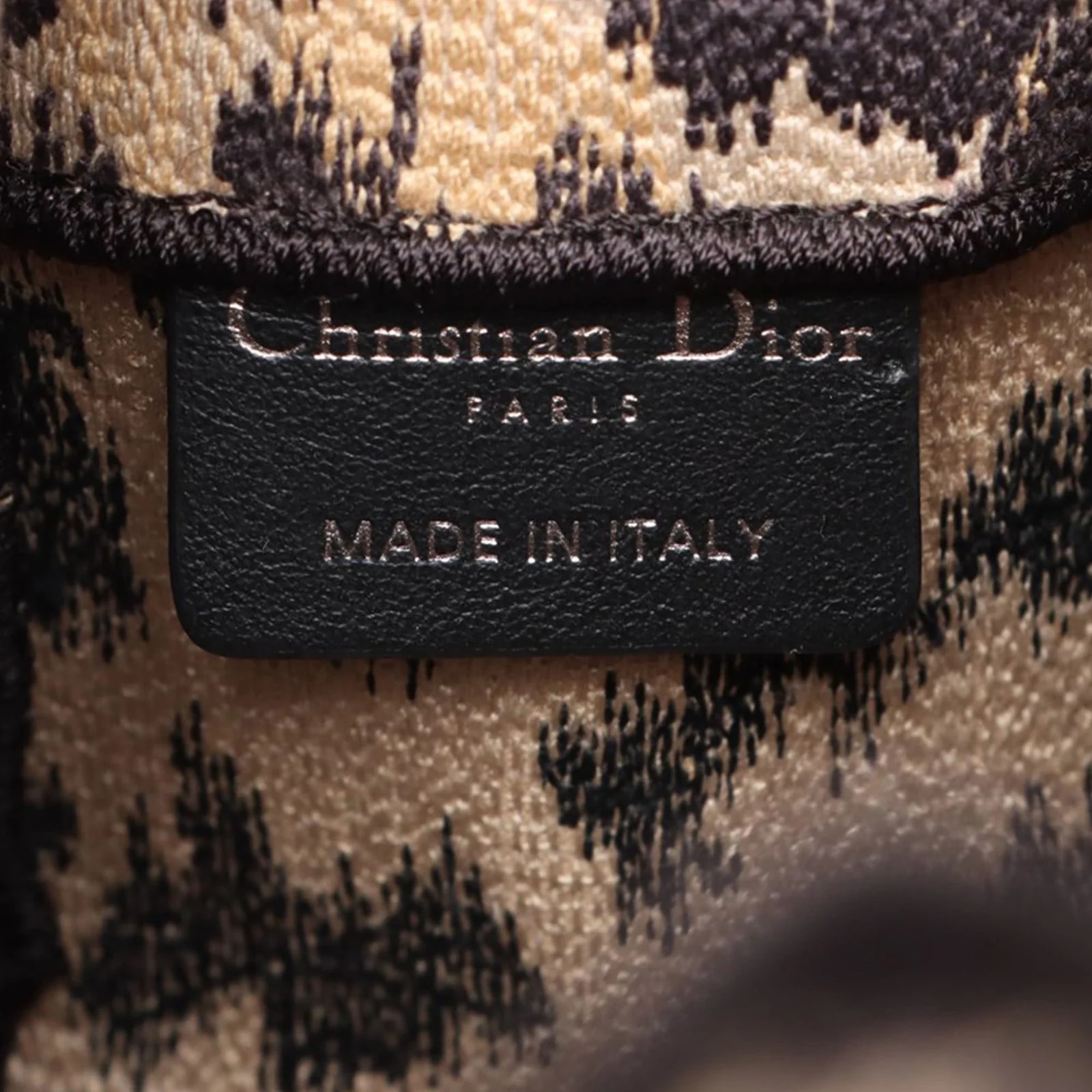Mizza Small Embroidered Leopard DiorCamp Messenger 4