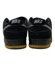 Nike Sb Dunk Low Pro BGA95 3