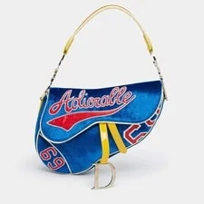 Dior Saddle Limited Edition Adiorable 69