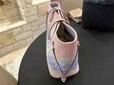 Limited Edition Louis Vuitton Escale Neverfull Pastel ( NO Pochette!) 3