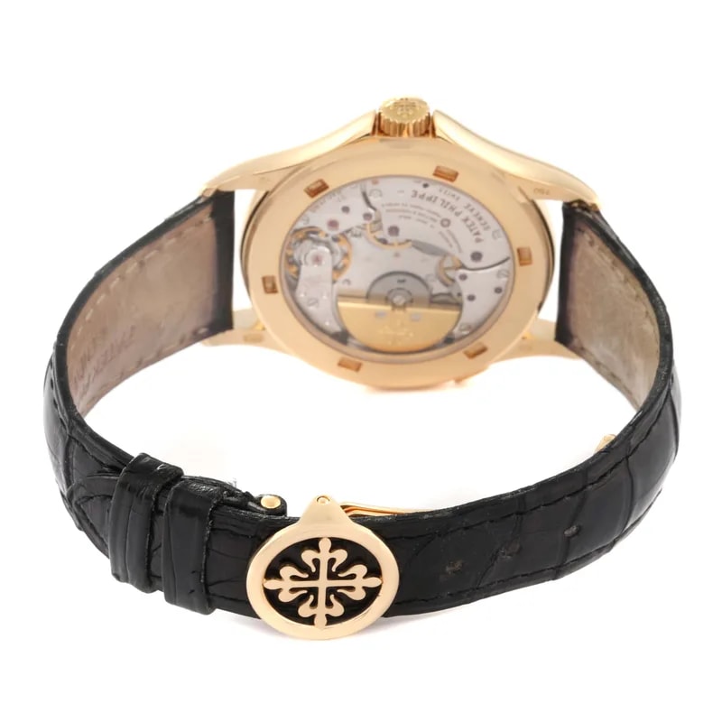 Patek Philippe World Time 5110J 3