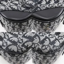 Dior Double Saddle #NB1237 4