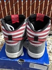 Nike SB Dunk High Born in the USA / / Skate Shoes 313171-100 3