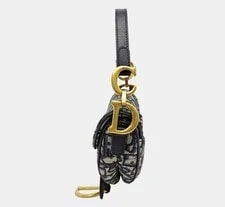 Christian Dior Mini Saddle GHW 3