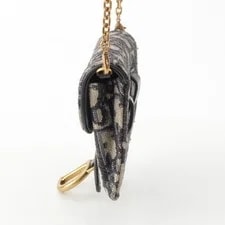 Christian Dior Oblive Saddle Chain 3