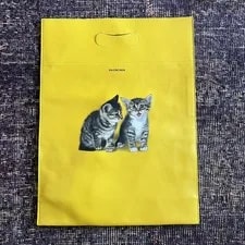 Balenciaga — Balenciaga FW18 Cat Graphic Print — Handbag — resale