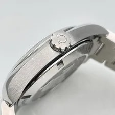 Omega Seamaster Aqua Terra 231.10.39.61.06.001 #31117 4