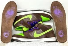 Nike SB Dunk Mid Pro Donatello Size 12M 314383-231 (2008) Tmnt EX+ W-Box 2