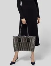 Auth Goyard Okinawa Dustbag 3