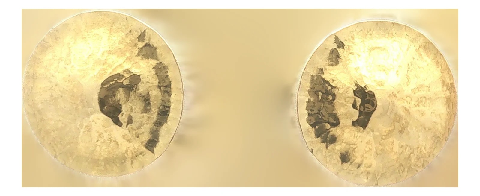 Late 20th Century Pair of Hammered Dome Earrings — Jewelry — resale