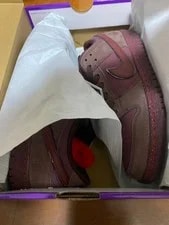 Nike SB — 9.5US Nike Sb Dunk Low Prmus — Sneaker — resale
