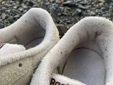 8.5US Reebok Journal Standard Clubc Shoes Collaboration Limit 3