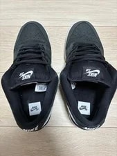 10.0US Nike Sb Dunk Low Gum Sole 3
