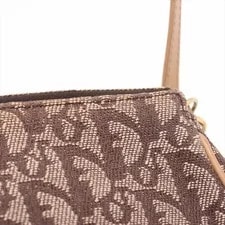Christian Dior Saddle Trotter & 4