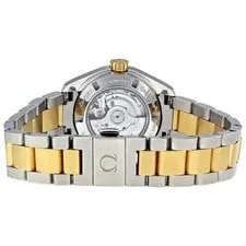 Omega Seamaster Aqua Terra Grey Dial 231.20.30.20.06.002 3