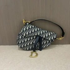 Dior Saddle Removable Buckle Closure Printed Crossbody #Y1YG 2