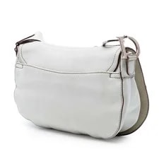 Dior Double Saddle Crossbody 2