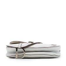 Dior Double Saddle Crossbody 3