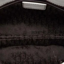 Dior Double Saddle Crossbody 4