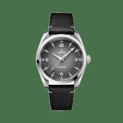 Omega Seamaster Railmaster 2