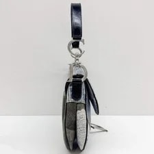Dior Saddle Print 4