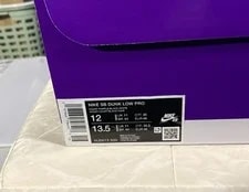 Hayley Wilson X Nike SB Dunk Low- “Court ” HJ0513-500- w/OG Box, 3 Laces 2