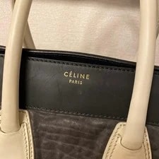Celine Luggage Exotic 2