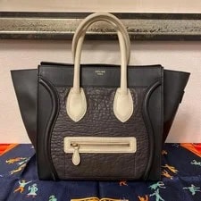 Celine Luggage Exotic 3