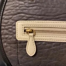 Celine Luggage Exotic 4