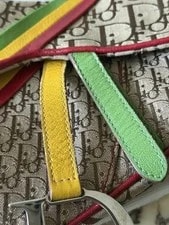 Christian Dior 2004 Rasta Saddle 3
