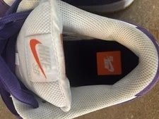 Nike SB Dunk Low Pro ISO Court ’s 2