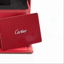 Cartier Santos WSSA0018 40mm Auto SS 11.50CTW Diamond Green Dial 3