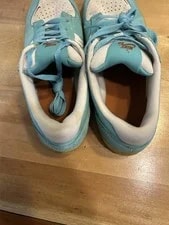 Nike SB Force 58 Dusty Cact 3