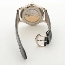 Patek Philippe Complication Annual Calendar 4