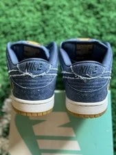 Nike SB Dunk TRD QS Low East West 3