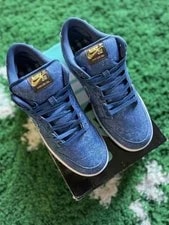 Nike SB Dunk TRD QS Low East West 4