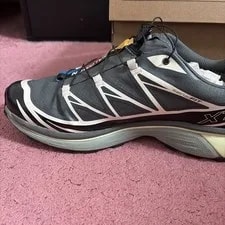 Salomon XT-6 GTX Urban Chic / U.S 4