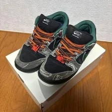 Nike SB — 10.5US There Skateboards Nike Sb Dunk Low Pro — Sneaker — resale
