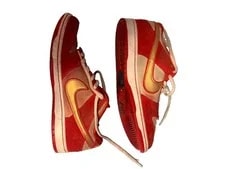 Nike SB Dunk Low Pro Nasty 2