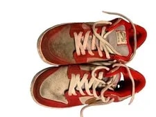 Nike SB Dunk Low Pro Nasty 3