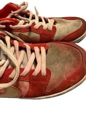Nike SB Dunk Low Pro Nasty 4
