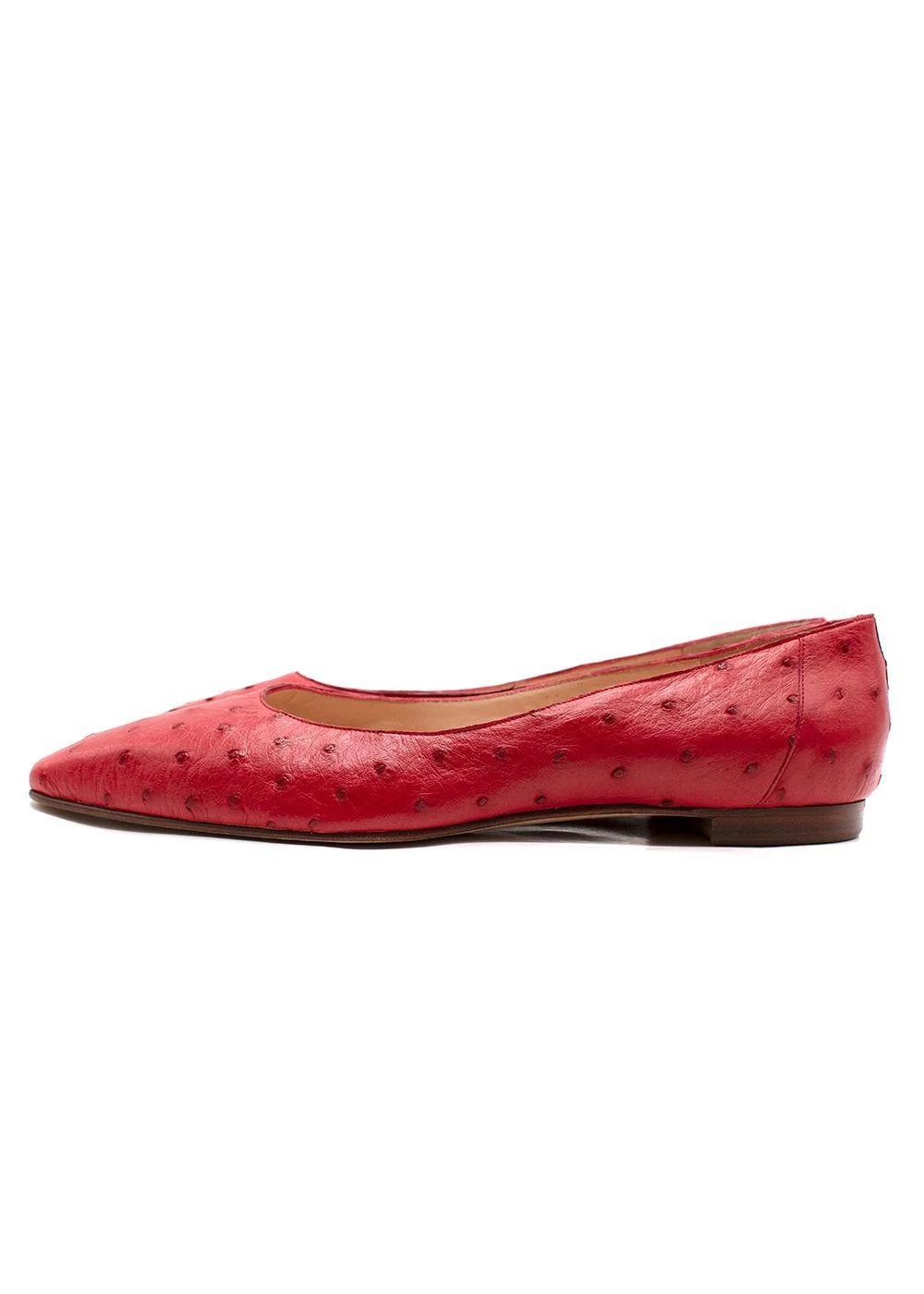 Manolo Blahnik Ballet 3