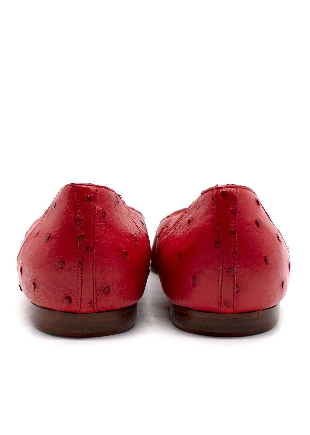 Manolo Blahnik Ballet 4
