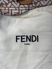 Fendi Baguette and Chain Midi Authentic 2023 Collection 4