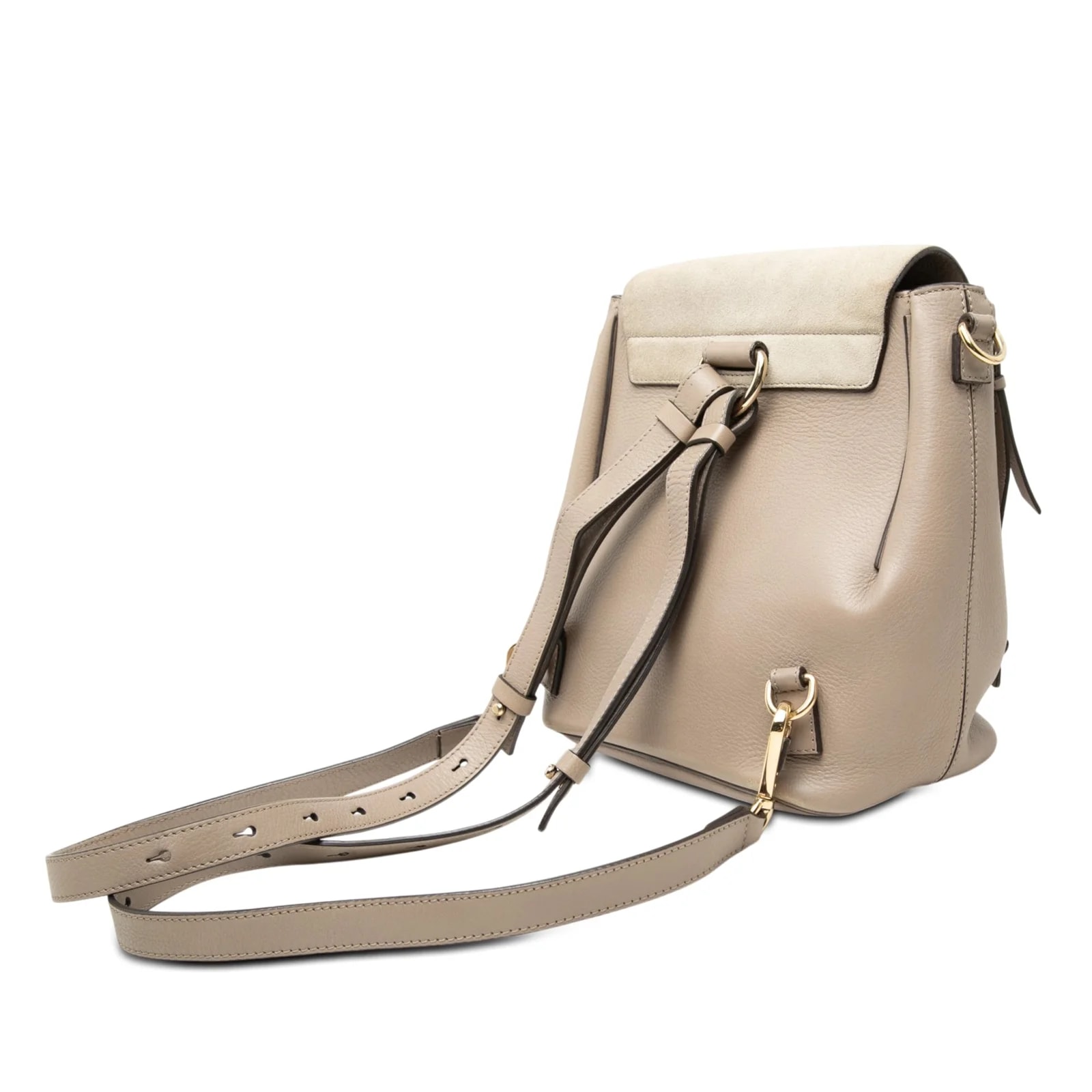 Small and Faye Backpack 2